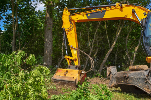 Roadside cleaning device. Mulcher. Processing of branches and vegetation.