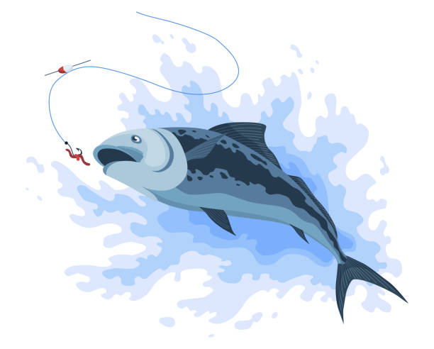 illustrazioni stock, clip art, cartoni animati e icone di tendenza di cattura di pesci predatori. pesce cartone animato che cattura l'esca da pesca. la pesca del luccio sta saltando per catturare l'esca sull'amo. hobby sportivo. pesca o caccia su illustrazione vettoriale di vermi - worm cartoon fishing bait fishing hook