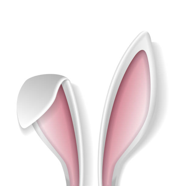Rabbit Ears Voluminous White Ears Of The Easter Bunny Stock