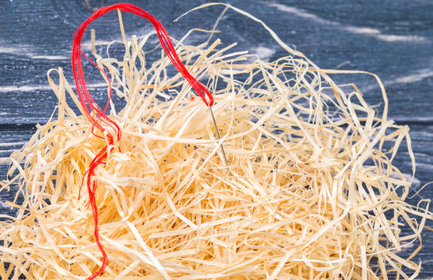 Needle in a haystack stock photo