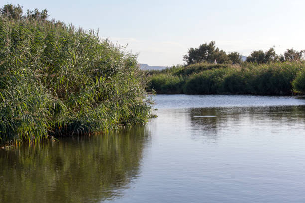 istock View of the Coghinas river 1389554055