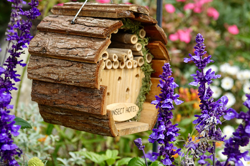 Handmade garden hotel for bees