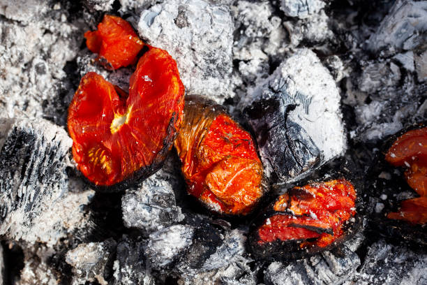 istock barbecue with cooking fresh eggplant on the fire 1389562572