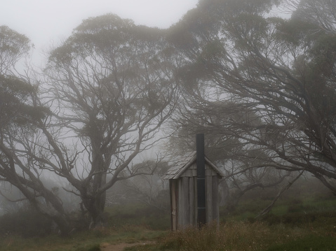 High country outhouse in the mountains surrounded by trees in fog