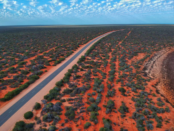 istock Shark bay, Australia 1389572891