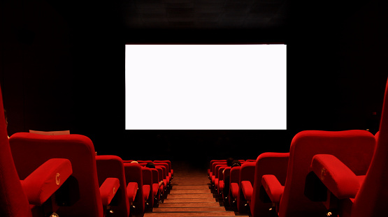 People in the cinema auditorium with empty white screen.