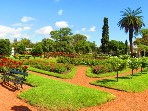 le parc rosedal dans la ville de buenos aires. - beautiful red pink wood photos et images de collection