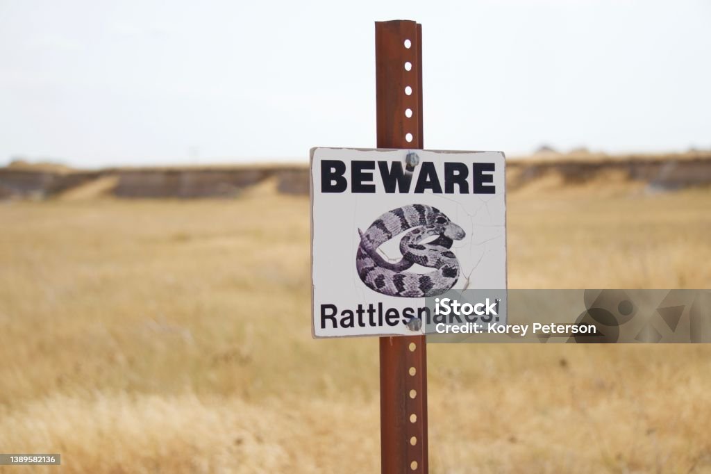 Beware Rattlesnakes Sign warning of rattlesnakes Rattlesnake Stock Photo