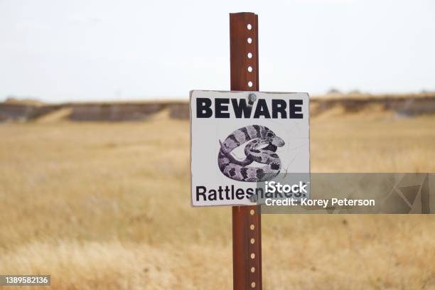 Beware Rattlesnakes Stock Photo - Download Image Now - Rattlesnake, Sign, Warning Sign