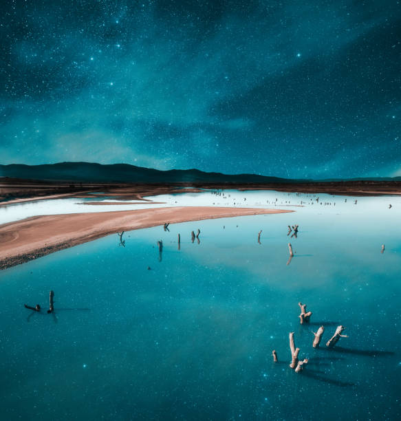 Drought with tree trunks in a lake under the stars. stock photo