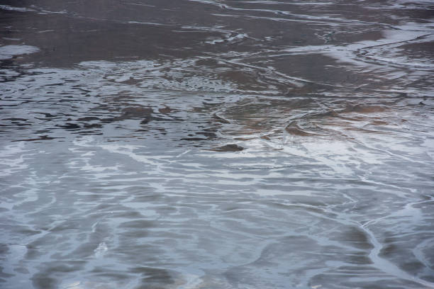 침엽수 연못의 진흙 투성이의 바다. 정착 분지에서 침을 추는 구리 광산의 독성 잔류물 - taint 뉴스 사진 �이미지