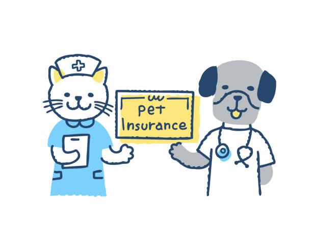 Pet insurance image: dog doctor and cat nurse Veterinary clinics, buildings, pets, pet insurance, treatments, animals insurance pets dog doctor stock illustrations