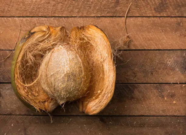 Photo of open coconut with husk on a table top, taken from above