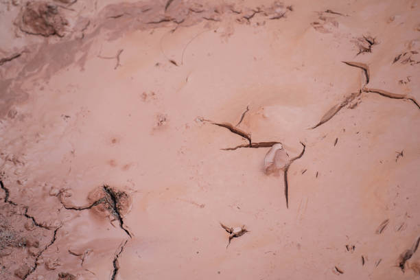 istock Dry and cracked ground texture.A lifeless land, craquelure 1389595216