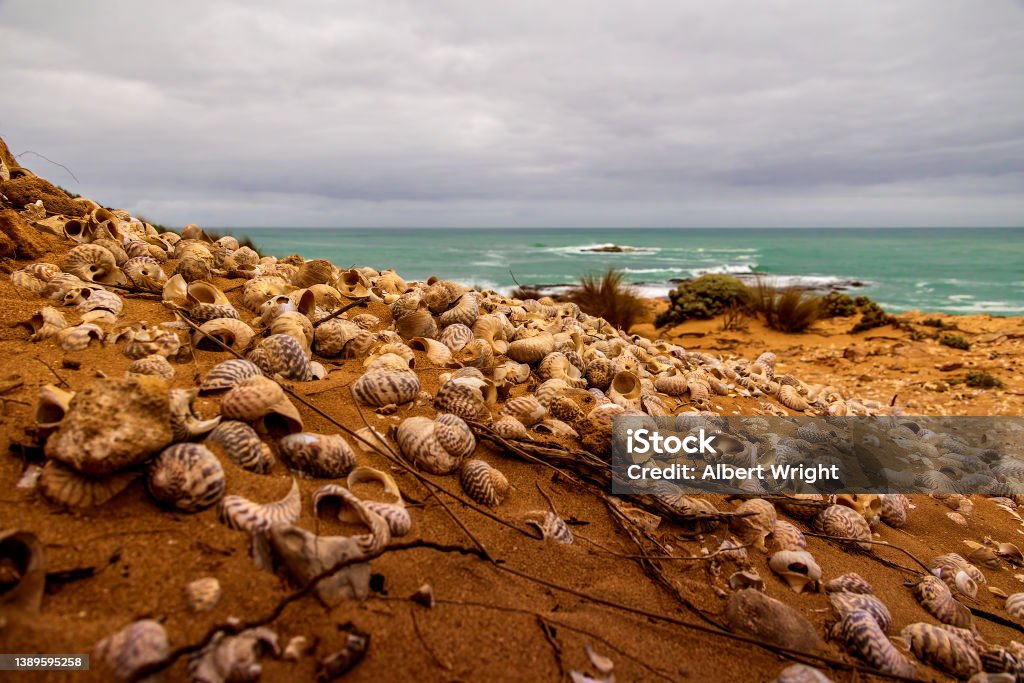 Middiens Australian Aboriginal Midden Stock Photo - Download Image Now - First ...