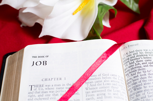 Biblia Abierta al principio del libro de Job, Antiguo Testamento.
El marcador de satén rojo está en toda la página.
El fondo es un lirio blanco sobre mantel rojo. photo