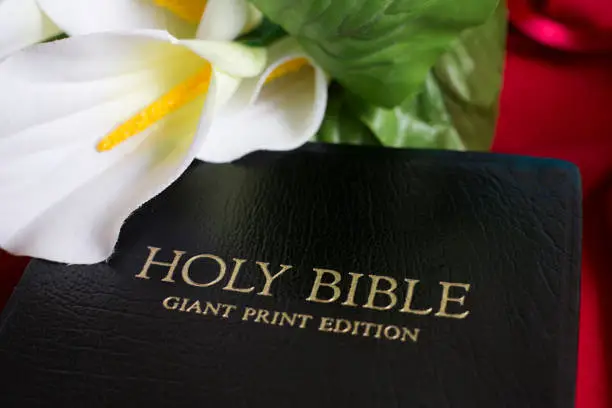 Closed Bible, giant print edition.  Beautiful white lily on red cloth background.  Black leather with gold print.