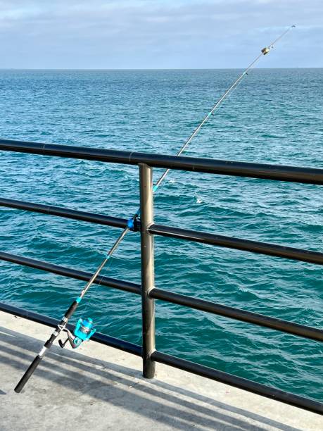 istock Fishing Rod Off The Pier 1389601779
