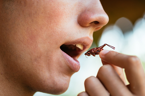 Joven comiendo insectos, saltamontes experimentados, concepto de entomofagia, comida mexicana photo