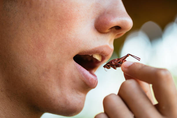 young man eating insects,  seasoned grasshoppers, entomophagy concept, mexican food - cırcır böceği böcek stok fotoğraflar ve resimler