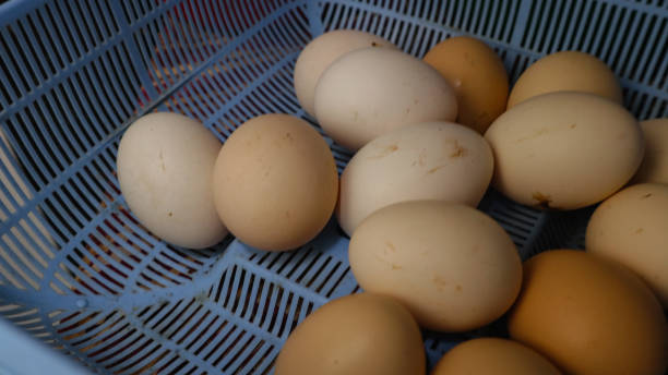 istock some eggs on the kitchen table freshly bought from the supermarket 1389603860