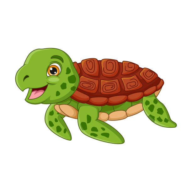 Cartoon Turtle On White Background Stock Illustration - Download Image Now  - Turtle, Animal Head, Cartoon - iStock