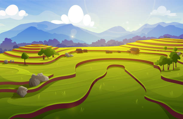 teras sawah, sawah asia dengan rumah pertanian - paddy ilustrasi stok