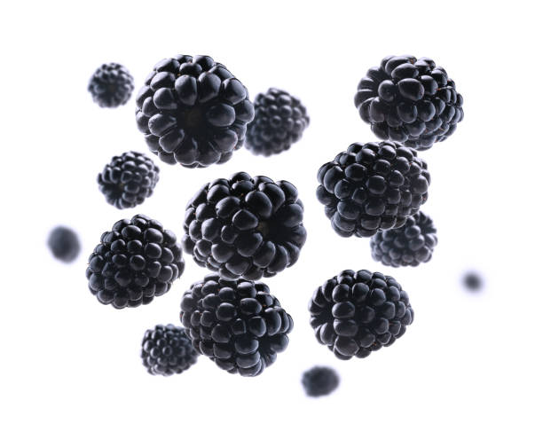 istock Ripe blackberries levitate on a white background 1389618416
