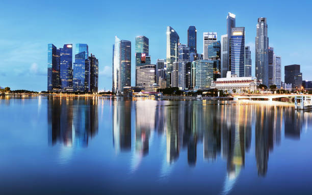 istock Singapore down town panorama at night 1389624097