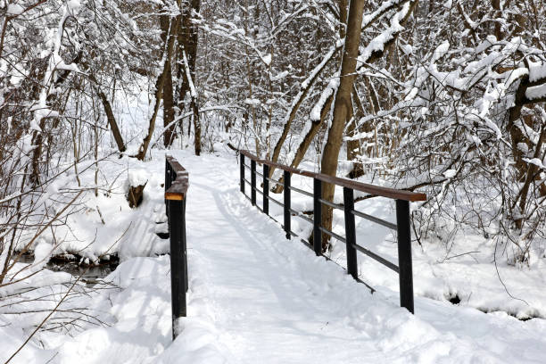 Winter Landscapes Alps