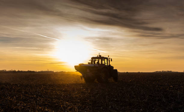 Tractor spreading artificial fertilizers. Transport, agricultural.