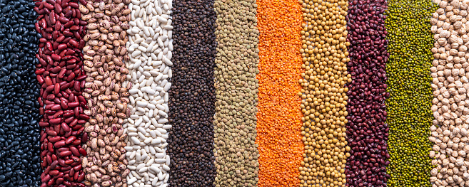 Assorted dried legumes in a row lines isolated on white copy space with soybean, chickpeas, lentils and beans
