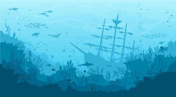 Ocean underwater landscape with sunken ship Ocean underwater landscape with sunken sailing ship, seaweed and reef. Deep sea world, seabed landscape vector background with undersea life. Seafloor aquatic scene with pirate caravel silhouette sunken stock illustrations