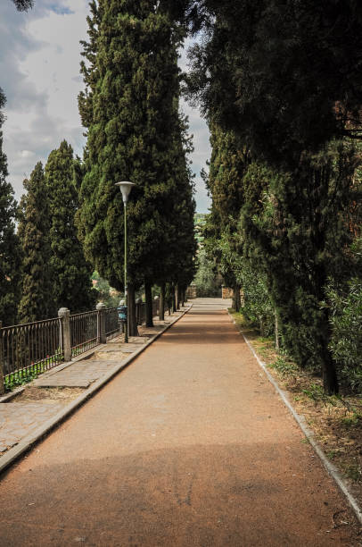 istock Verona city park 1389638976