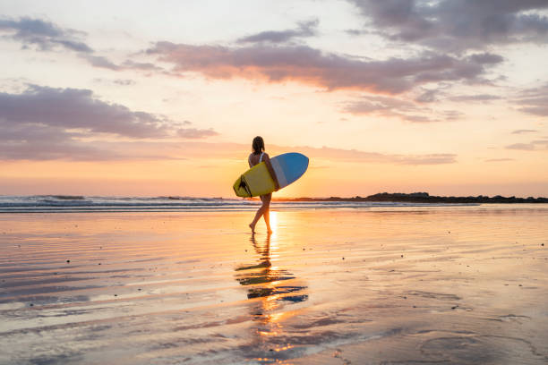 silueta de chica surfista en la playa al atardecer - bikini surfboard women surfing fotografías e imágenes de stock