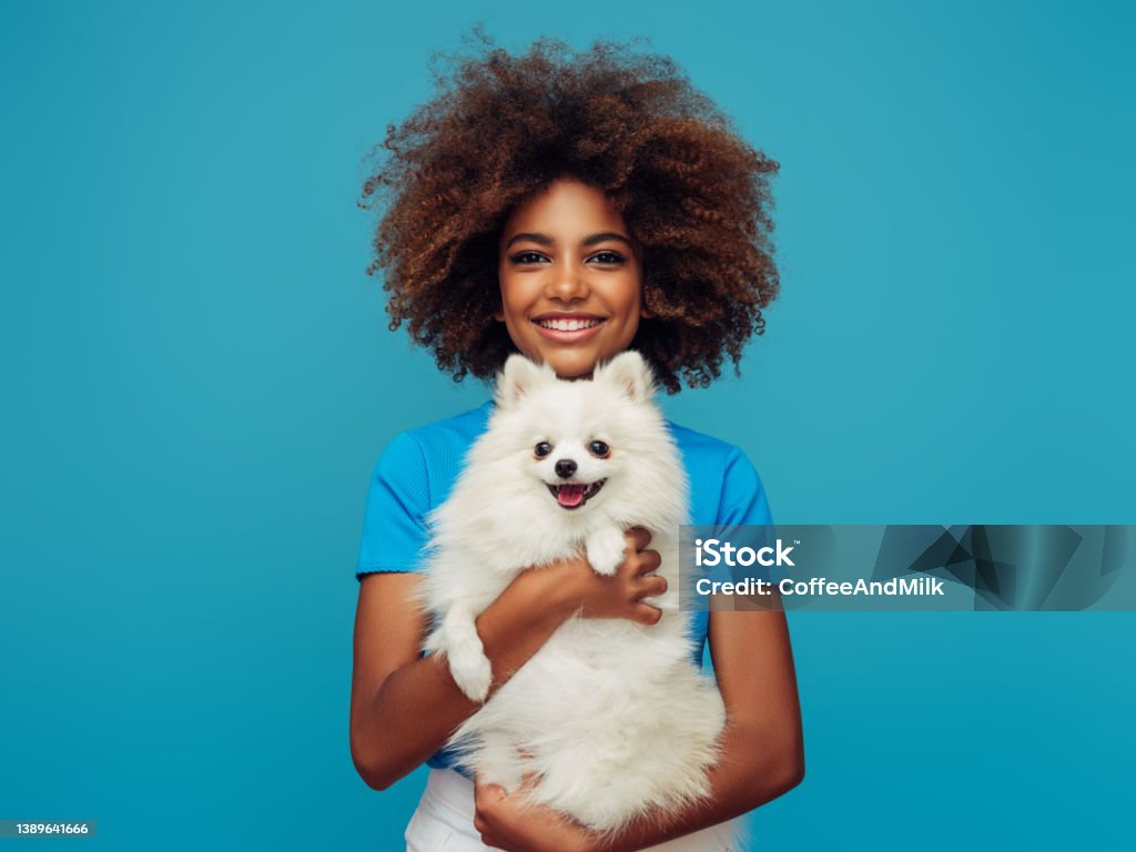 Studio portrait of smiling young african american girl  holding little dog Dog Stock Photo