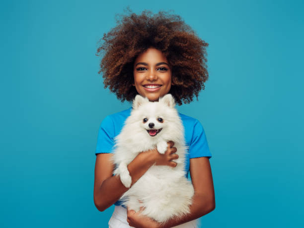 Studio portrait of smiling young african american girl  holding little dog stock photo