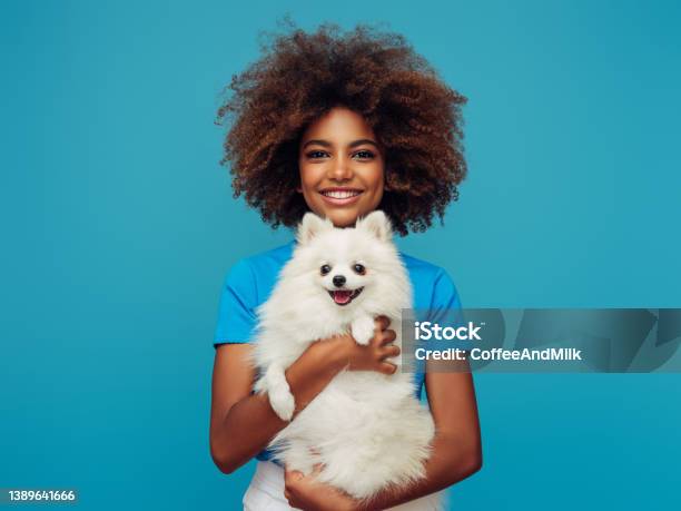 Studio Portrait Of Smiling Young African American Girl Holding Little Dog Stock Photo - Download Image Now