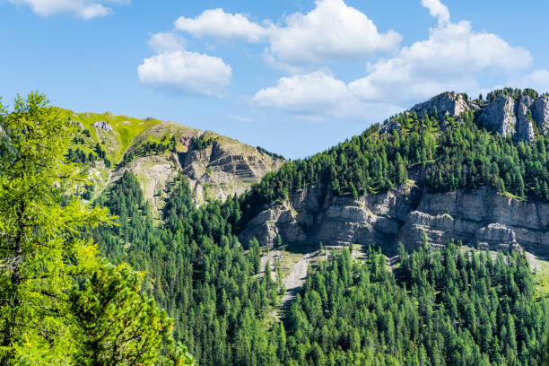 Mountains in Italy, surrounded by pine forest. Blue sky with fluffy clouds on the background.