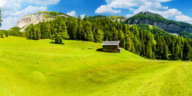 Landscape with a mountain hut on a steep incline in the middle of forest of mixed trees