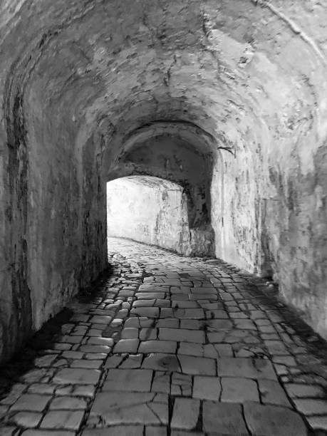 istock Shady path for walking along Corfu island, Greece 1389647560