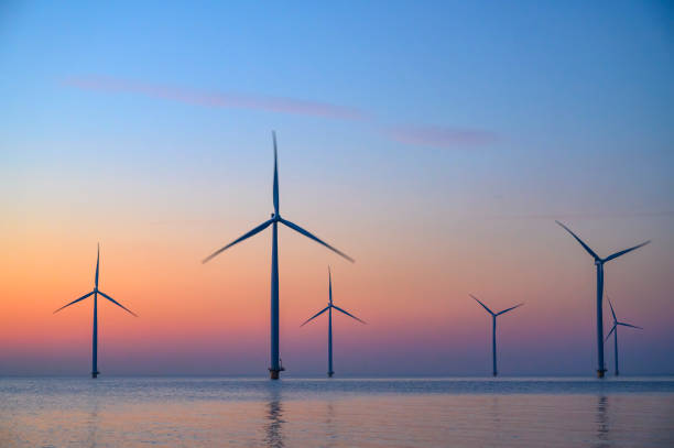 istock Wind turbines in an offshore wind park producing electricity during sunset. 1389650805