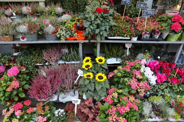 istock Autumn choice in flower shop 1389653242