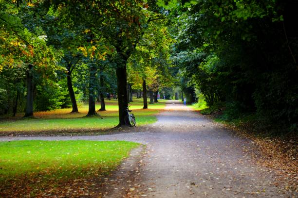 istock Autumn park in Germany 1389653345
