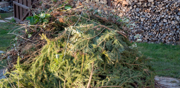 istock Garden waste pile for burning 1389653807