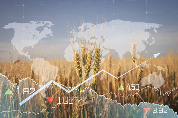 Global and European grain and wheat crisis after Russia's invasion of Ukraine stock photo