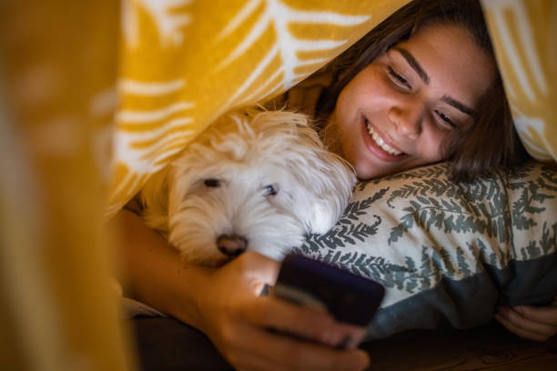 adolescente despreocupada, usando seu celular, enquanto estava deitada sob o lençol com seu cachorro - one teenage girl only on the phone bed lying on front - fotografias e filmes do acervo