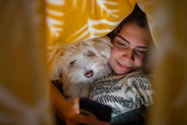 istock Teenage girl, using her mobile phone, while lying under the bed sheet with her dog 1389663561
