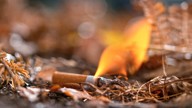 Burning cigarette butt on ground stock photo