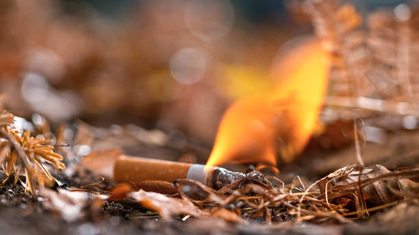 Burning cigarette butt on ground Close-up of cigarette butt on ground. cigarette fire stock pictures, royalty-free photos & images